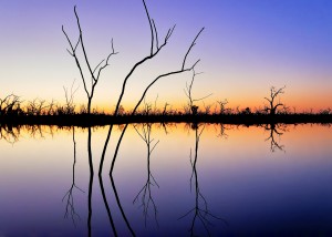 Sunset Reflections